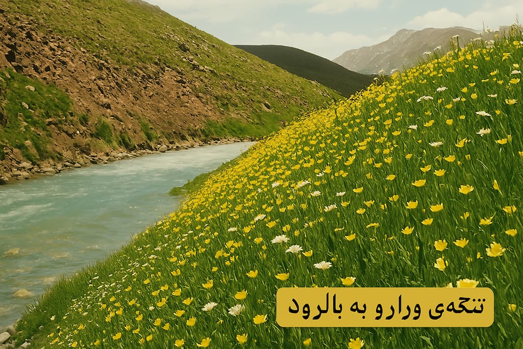 دشت ورارو