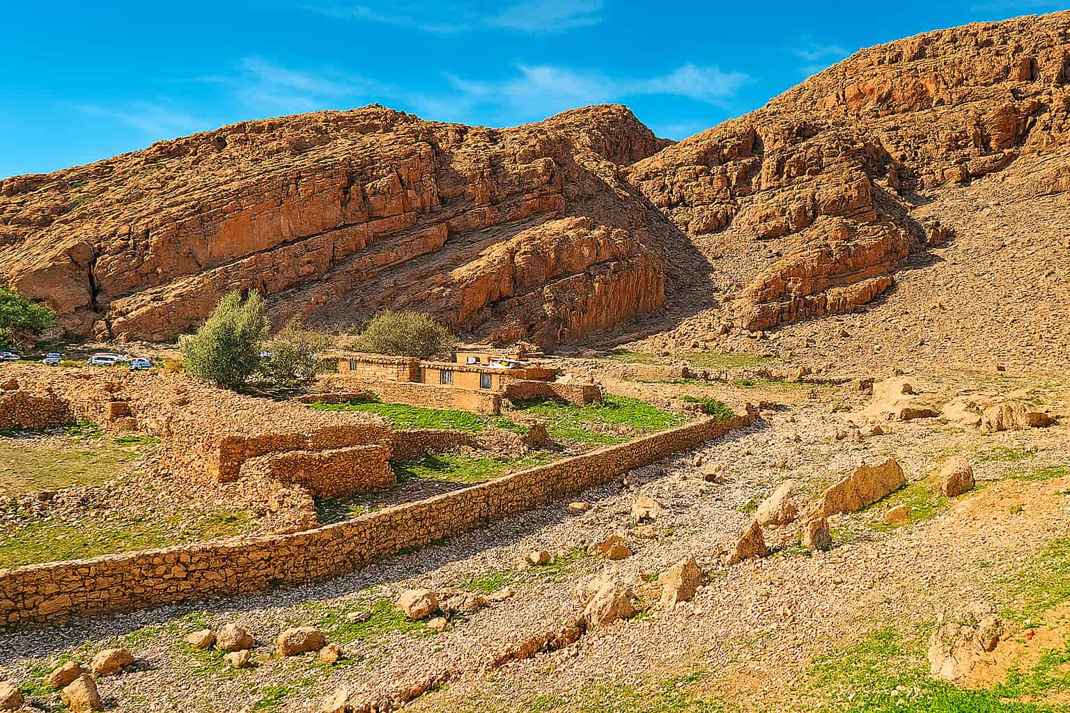 کول فرح