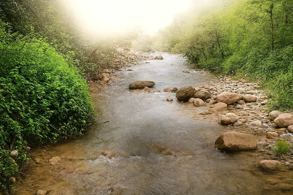 امام زاده عبدالله