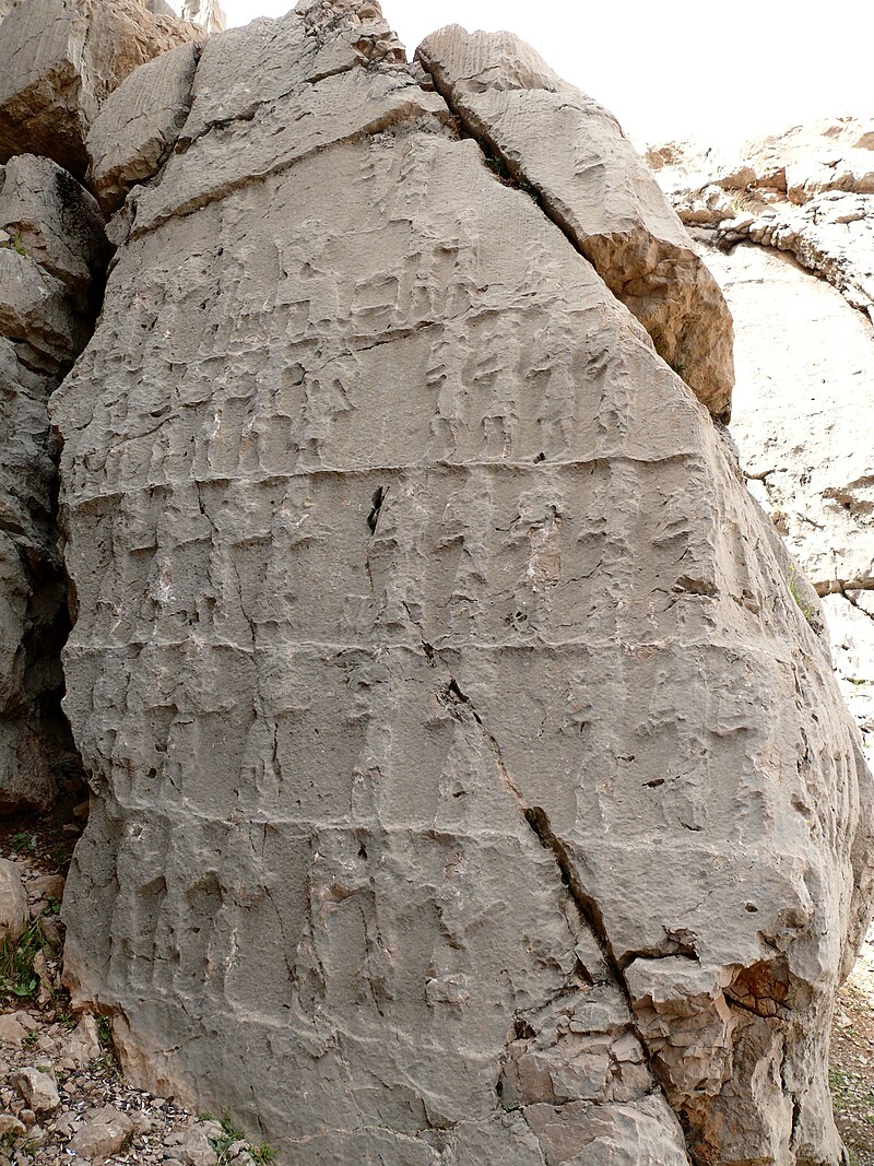 کول فرح
