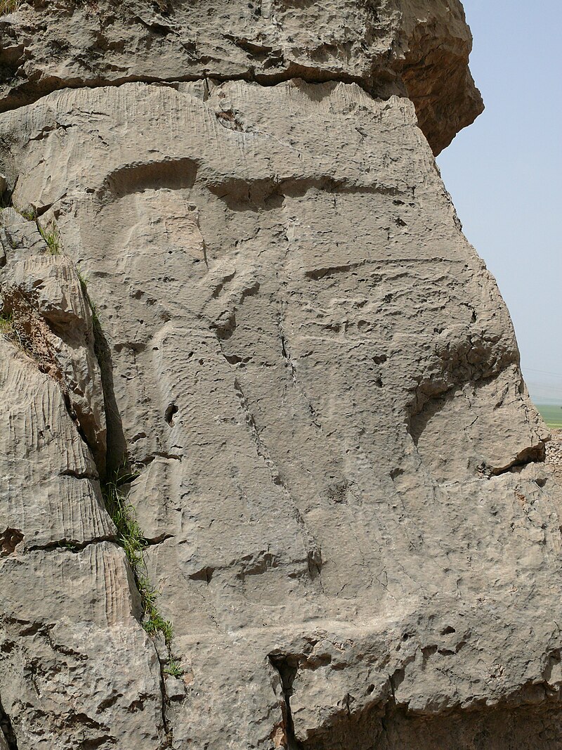 کول فرح