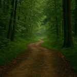 پارک جنگلی میرزا کوچک خان آمل