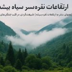 نقره‌ سر سیاه‌ بیشه