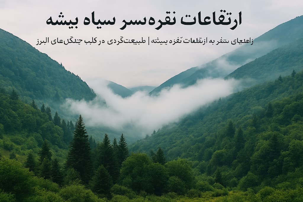 نقره‌ سر سیاه‌ بیشه