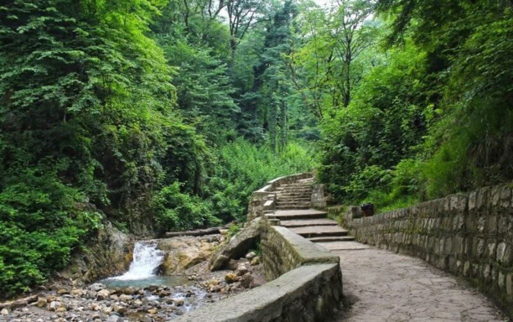 محوطه درختکاری شده و طبیعت پارک جنگلی سوکان سمنان