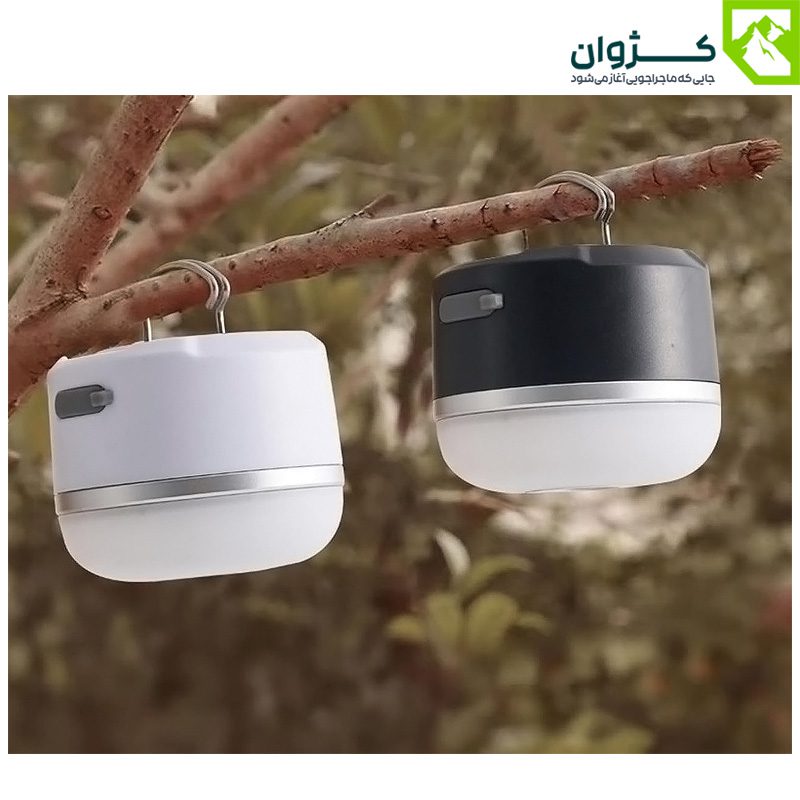 دو عدد چراغ M1 آویزان روی شاخه درختی