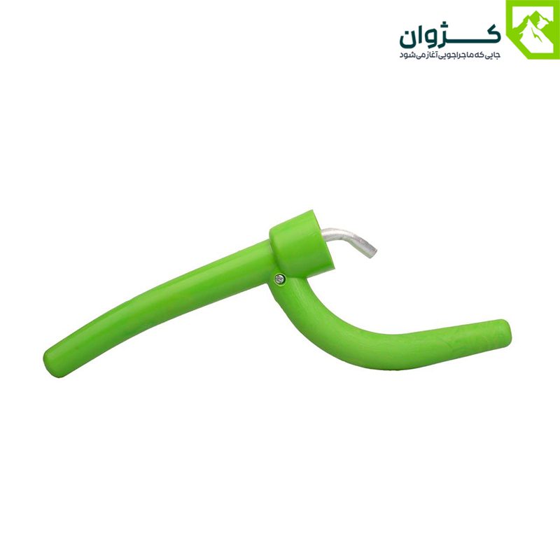 آفتابک سبز از نمای مورب با زمینه سفید