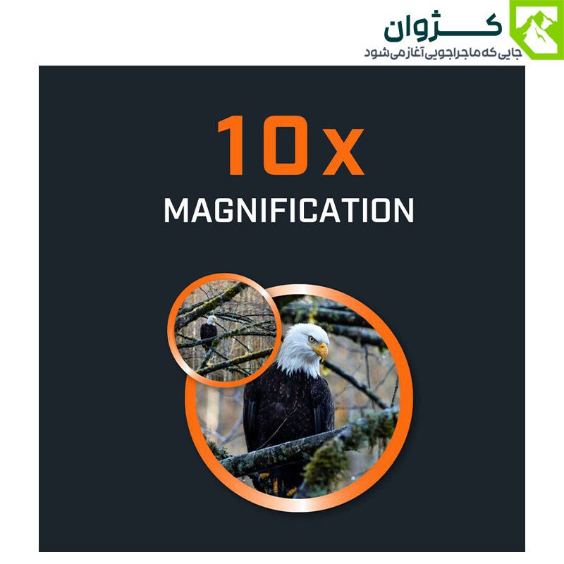 مقایسه دید طبیعی و بزرگنمایی دوربین Bushnell H2O از عقاب نشسته روی شاخه درخت، نمایش وضوح و جزئیات تصویر